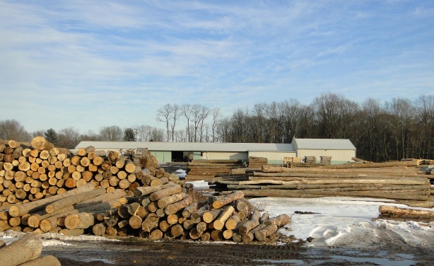 Logs And Lumber Riephoff Sawmill